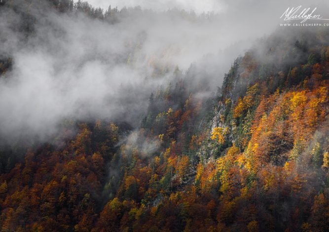 Visioni tra la nebbia